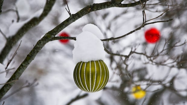 The weather outside will be frightful on Christmas Day for parts of N.L.