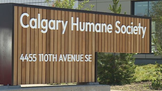 Man charged following animal abuse investigation by police, Calgary Humane Society