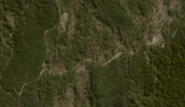 Fresh logs piled high in Wombat State Forest revive concern about removing fallen trees