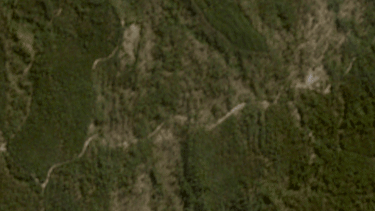 Fresh logs piled high in Wombat State Forest revive concern about removing fallen trees