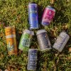 A variety of colorful cans of THC drinks are arranged on a grass. Some flavors include The Tenacious Seed's Blood Orange beverage, Silly Goose's root beer THC-infused soda and Mountain High Seltzer's Berry Wild. 