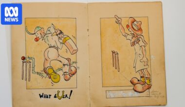 Cricket cartoons illustrate a match to rival the Ashes played by prisoners of war during WWII