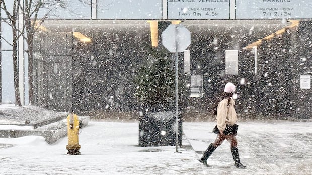 Snow, ice pellets and fog — oh my. Large swaths of Canada feel winter's icy wrath