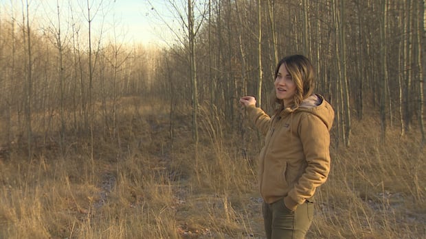 Alberta planning to create 900 new campsites by 2033