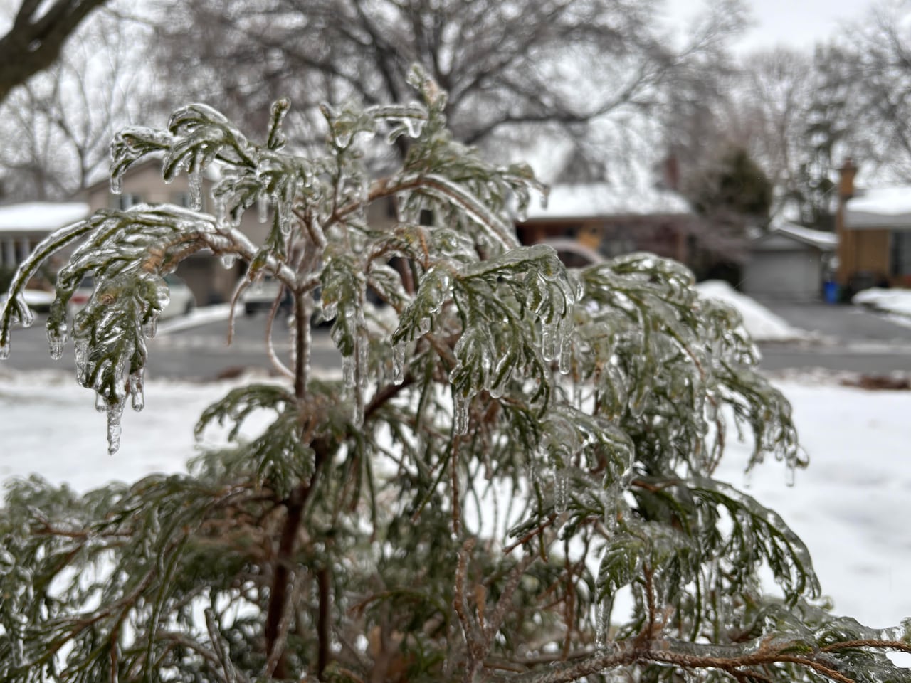 London has been hit with a mix of ice pellets and freezing rain expected to last into the afternoon. 