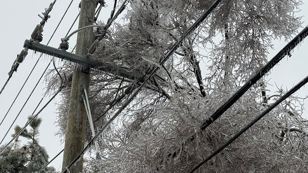 Thousands without power, trees down across southwestern Ontario, after freezing rain event