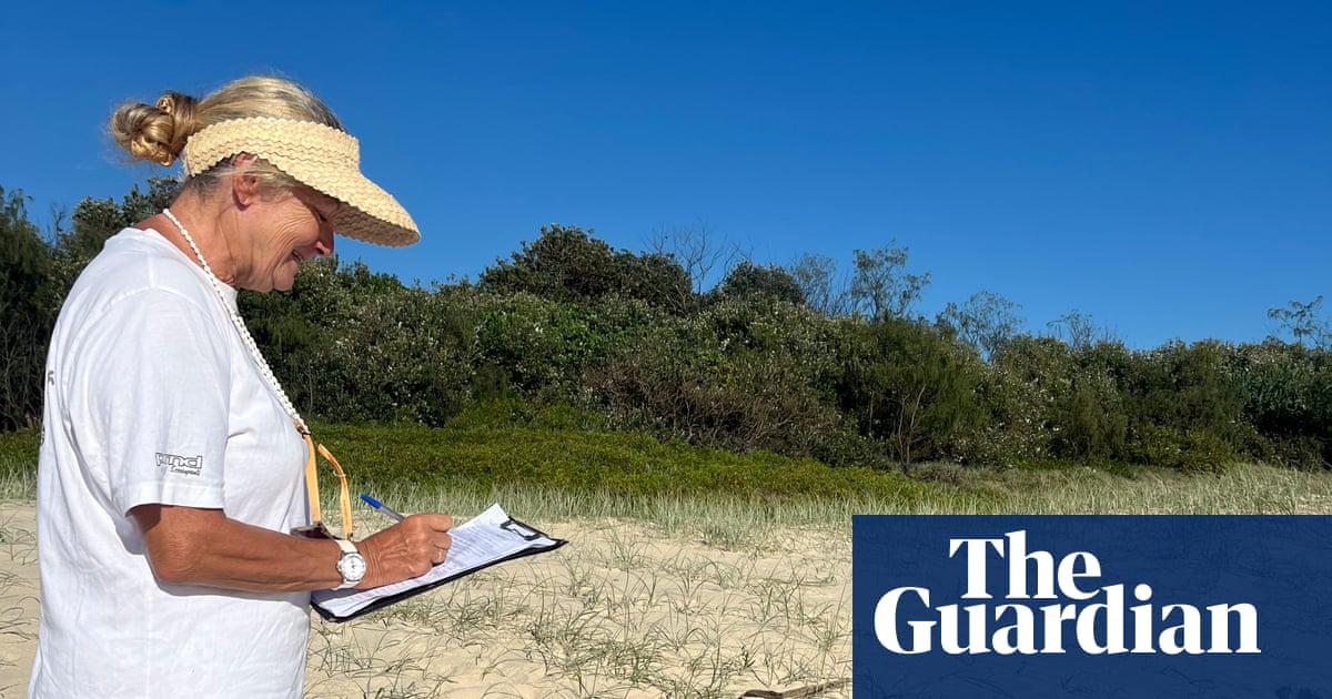 Call for citizen scientists to monitor threatened turtle species on NSW beaches | New South Wales