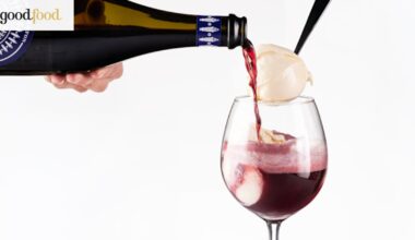 Sparkling shiraz plus ice-cream is the summer drink you never knew you needed