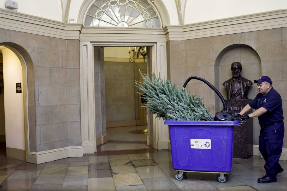 A staff member with the Architect of the Capitol carries a Christmas tree in a recycling bin through the U.S. Capitol in Washington, Dec. 23, 2022.