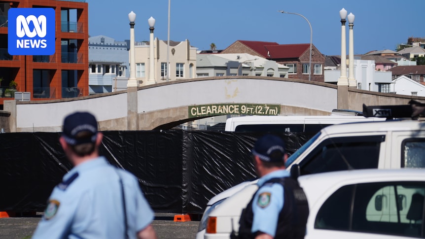 Jewish security group warned of violent antisemitism during Hanukkah event weeks before Bondi terror attack