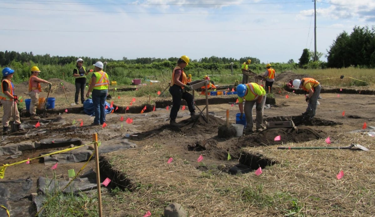 A dozen archaeologists dig for and sift through historical objects