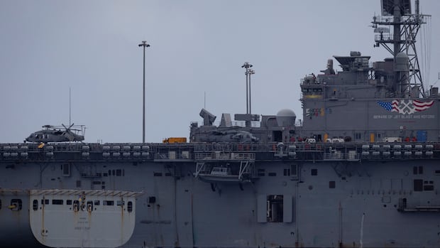 Navy ponders concept of Canadian-built amphibious landing ship for Arctic operations