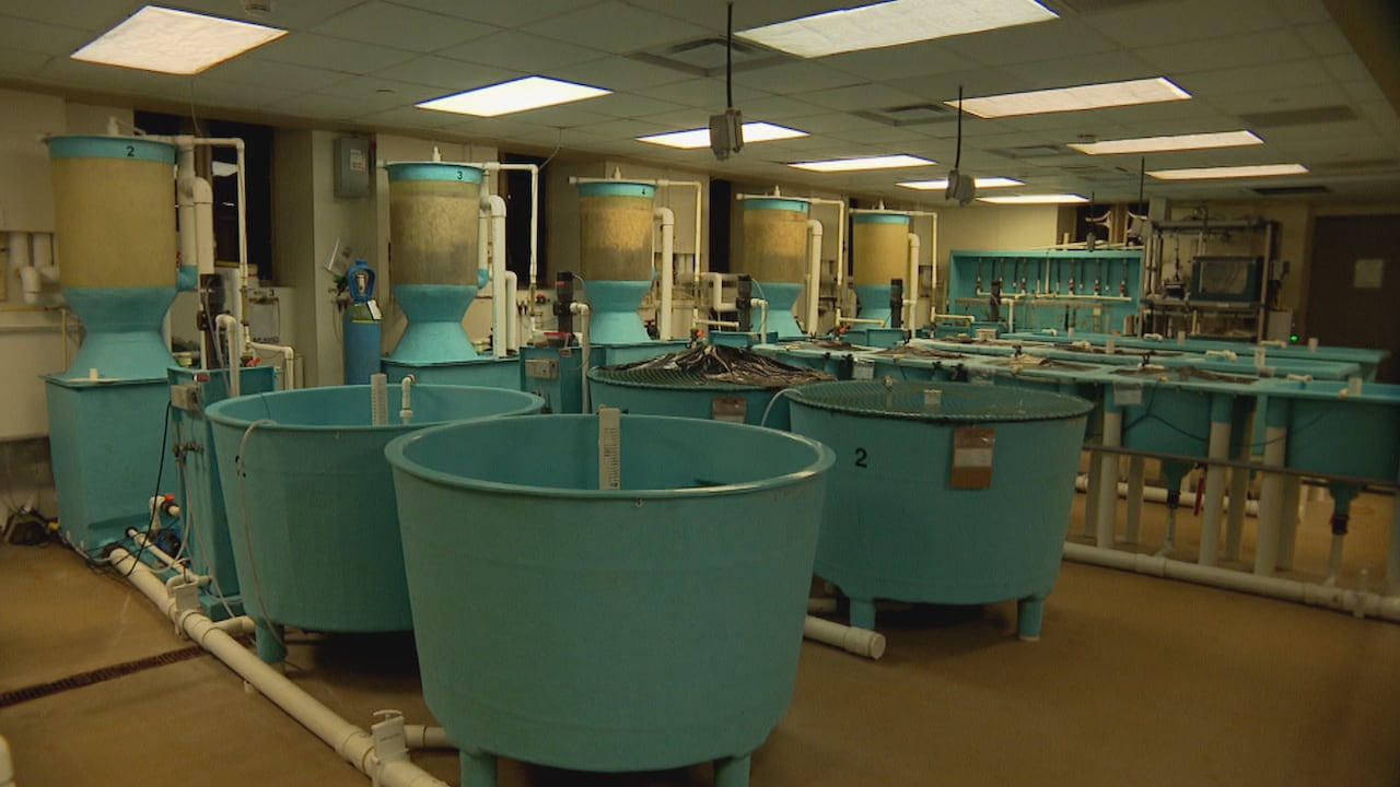 A room with fish tanks and water filter machines 