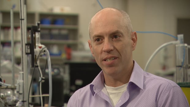 Could a simple diet change prevent a heart attack? A Mount A prof is using fish to find out