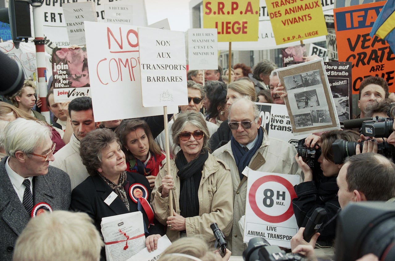 A woman holds a sign surrounded by other protesters.