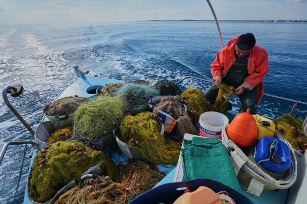 Fisherman Photis Gaitanos collects fish from nets off the coast of Larnaca, Cyprus, in the eastern Mediterranean, early Saturday, Dec. 20, 2025. (AP Photo/Petros Karadjias)
