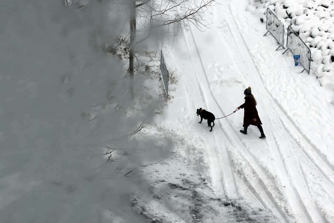 Person in long dark coat, walks their dog up a snow-covered hill in Brooklyn after an overnight storm on Saturday in New York City.