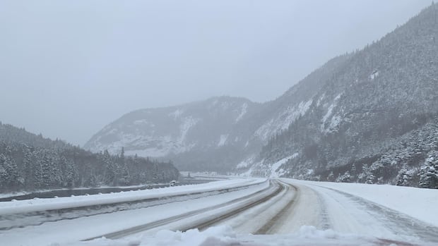 Heavy snow, high winds continue to batter parts of N.L.