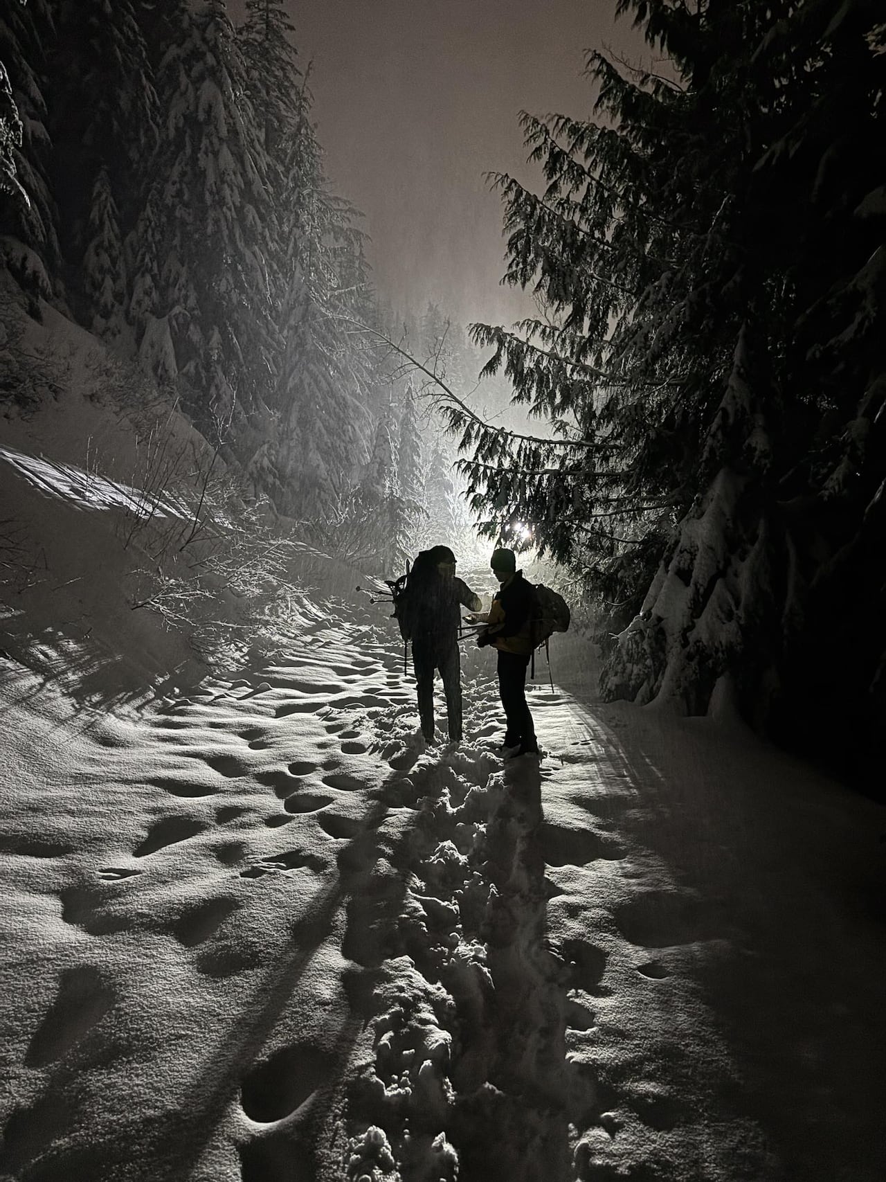 Search and rescue members standing in the snow