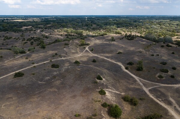 Hills of sandy terrain are visible in the Kiskunsag region of Hungary, Wednesday, July 30, 2025. (AP Photo/Denes Erdos)