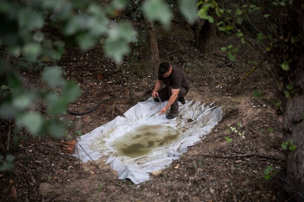 Oszkár Nagyapáti, farmer and member of the volunteer water guardians group, fills up a wildlife water trough in Kiskunmajsa, Hungary, Tuesday, July 29, 2025. (AP Photo/Denes Erdos)