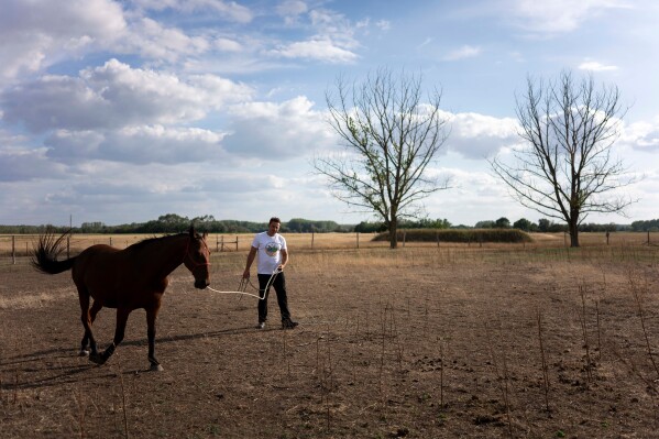 Szilárd Zerinváry member of the volunteer water guardians group walks his horse in his parched backyard in Kiskunmajsa, Hungary, Monday, July 28, 2025. (AP Photo/Denes Erdos)