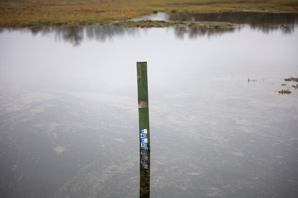 A water gauge is visible in an artificial lake in Kiskunmajsa, Hungary, Tuesday, July 29, 2025. (AP Photo/Denes Erdos)