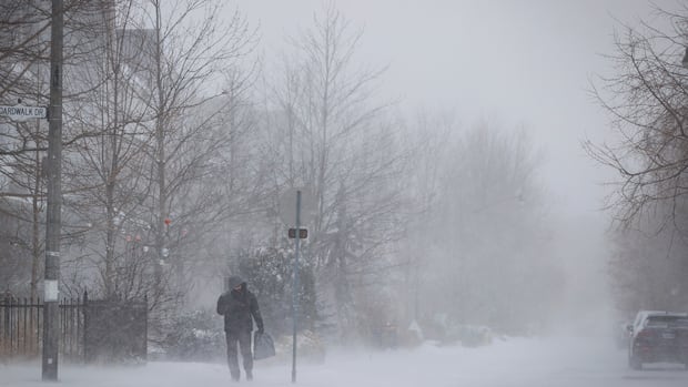Powerful wind and a cold snap expected in Toronto after a night of heavy rain