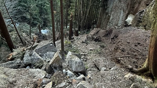 Popular hiking trail in Squamish, B.C., closed after rockfall