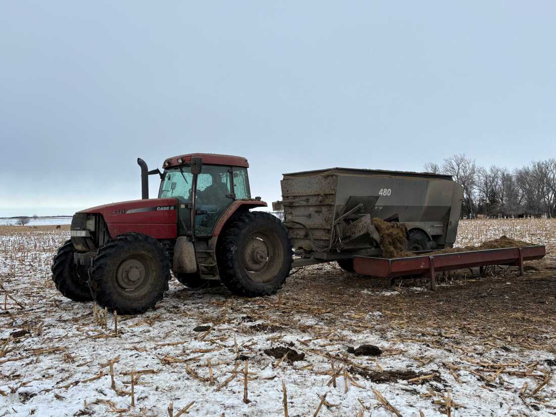 Kevin Deinert grows soybeans and corn and also raises cattle on his family's farm near Mitchell, South Dakota