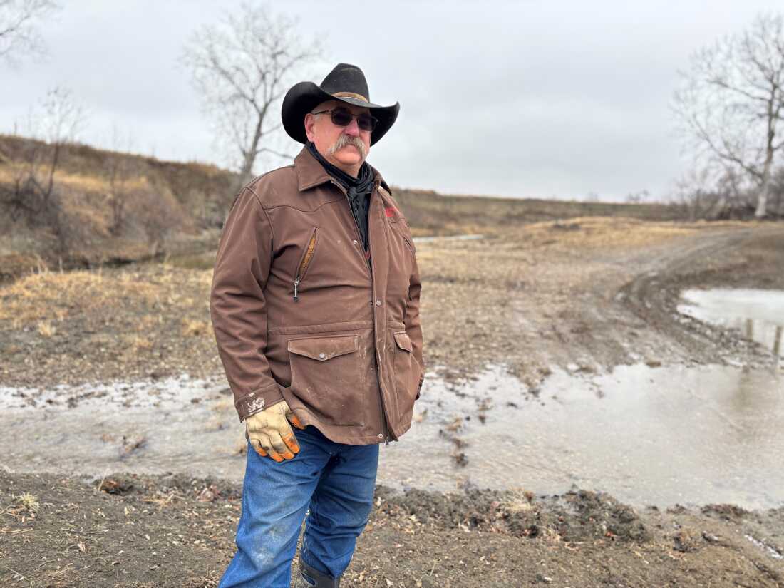 Thanks to high beef prices, ranchers like Kory Bierle are finally getting a reprieve after years of punishing droughts that caused herds to be downsized.