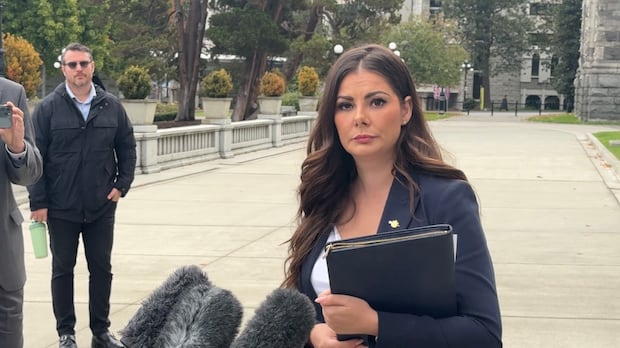 Why this Independent MLA wants to make it easier for MLAs to be ousted by voters