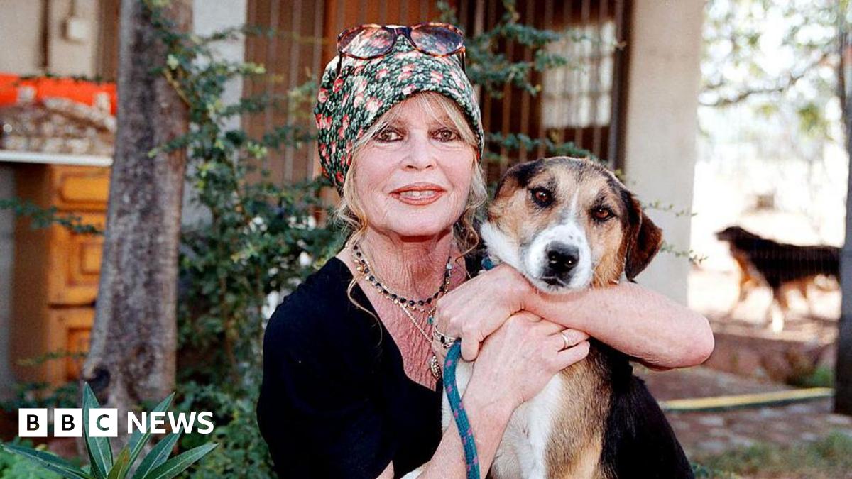 Animal rights activist Brigitte Bardot visits her dog refuge "The Nice Dogs" of Carnoules on October 7, 2001 in Paris, France.