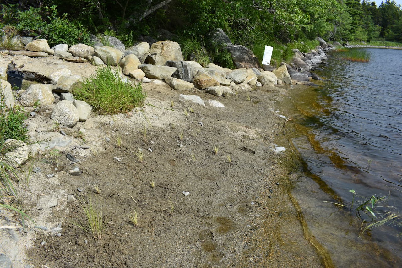 A section of lake shoreline is shown.