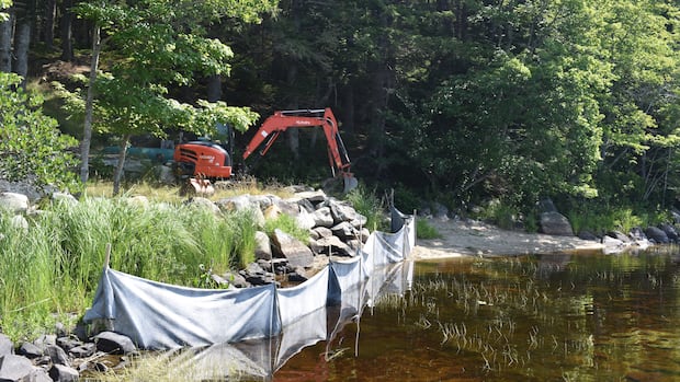 Advocates and residents say stronger regulations are needed to protect N.S. lakeshores