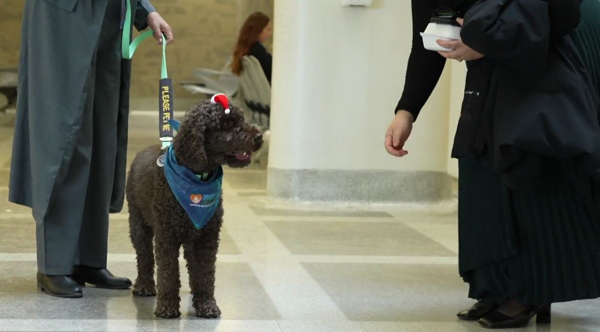 A dog on a leash wearing a Santa hat with the feet of two people near it. 