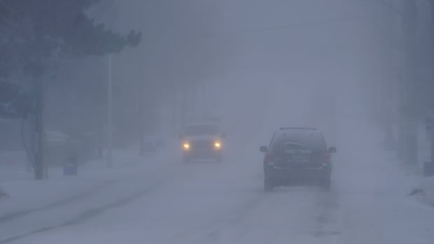 More blowing snow brings poor visibility and road closures around London