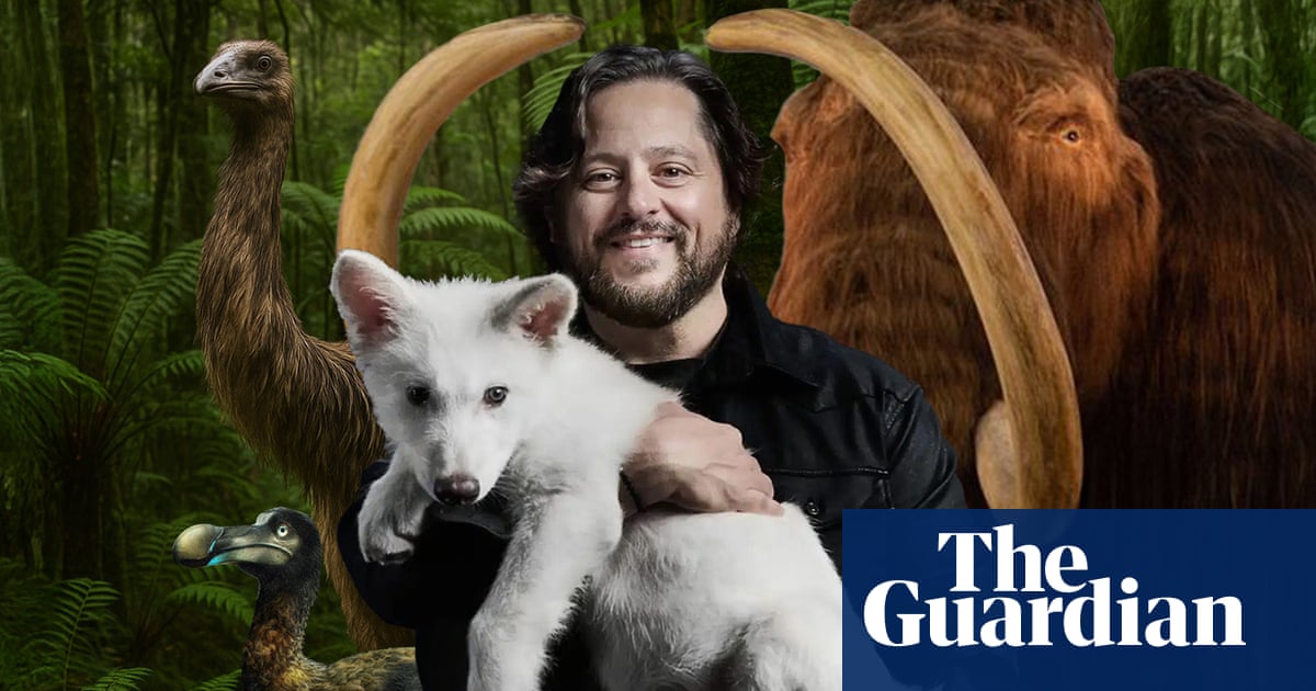 ‘They didn’t de-extinct anything’: can Colossal’s genetically engineered animals ever be the real thing? | Extinct wildlife