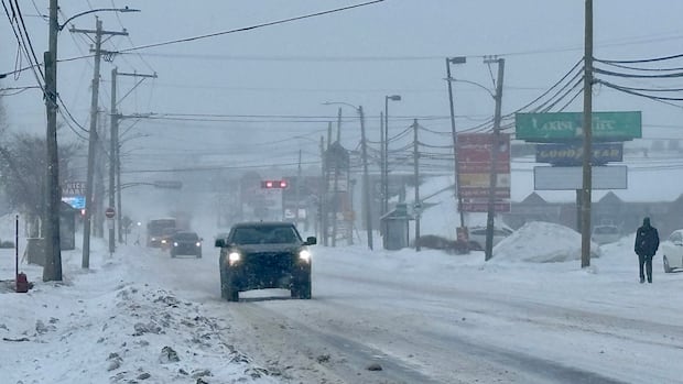 Snowy start to the new year expected for much of P.E.I., says Environment Canada