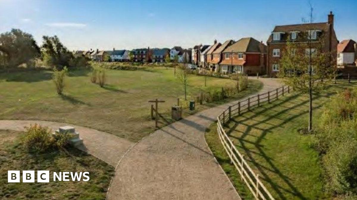 Mock-up shows a green area in from of large-sized houses that look out onto the green.