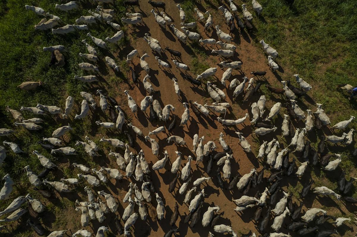 Last Bastion for Cheap Beef Fades in Latest Affordability Threat