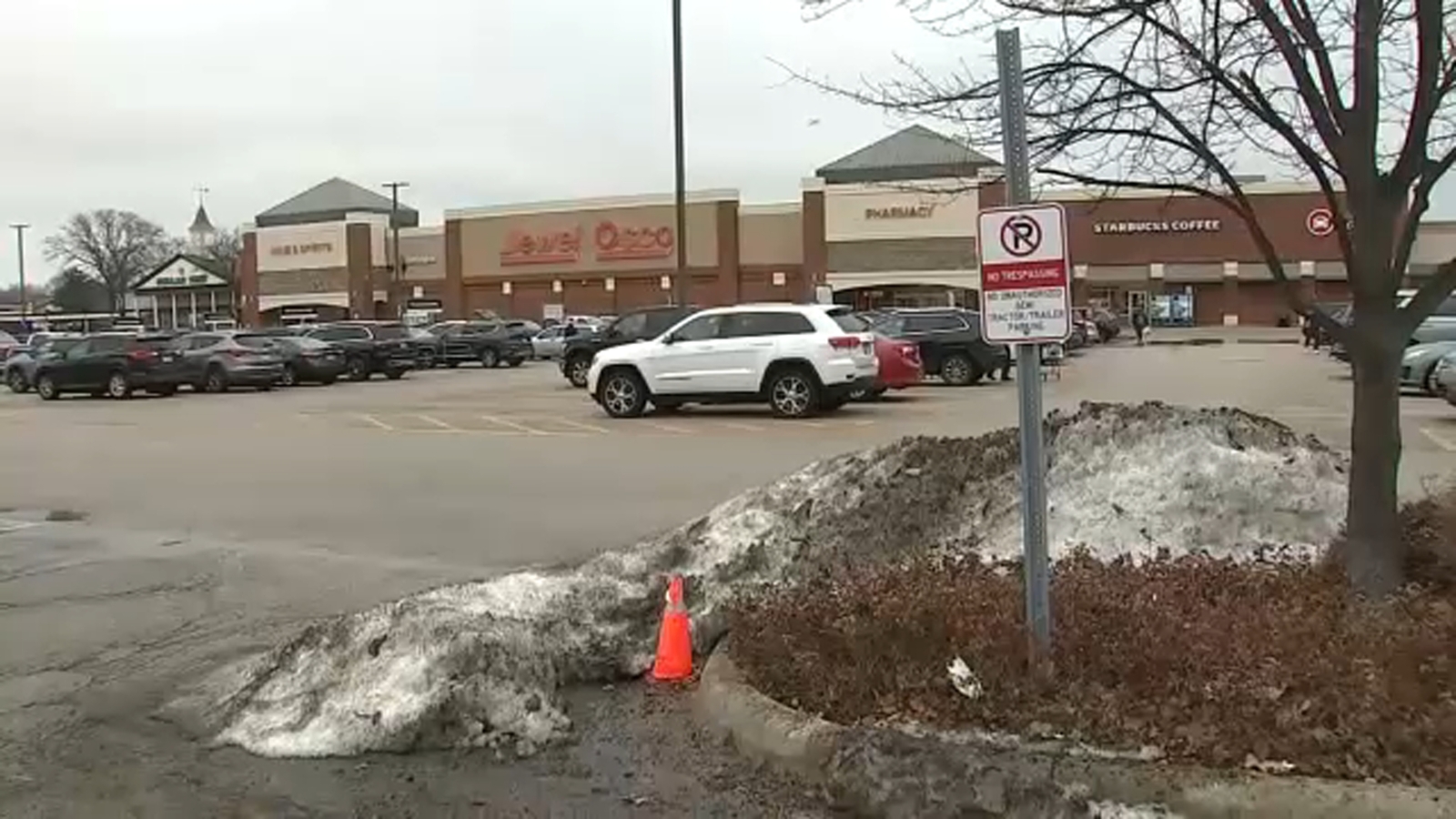 Bensenville man Ismael Andrade Pino accused of trying to kidnap Jewel employee with special needs from York Road store: officials