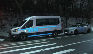 Person in custody after 15-year-old sexually assaulted in Central Park, police say