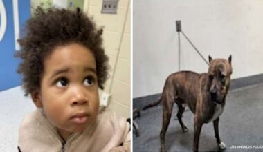 Los Angeles police seek help identifying young boy found in car after attempted theft in Highland Park