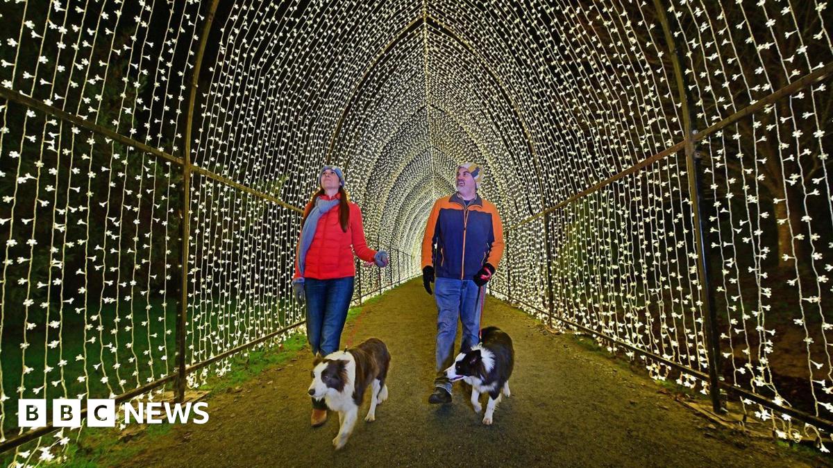 A couple walking their dogs walking in a trail lit up by Christmas lights.