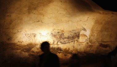 Man looks at a reproduction of the Lascaux caves paintings at the Cap Science's exhibition hall in Bordeaux