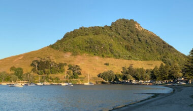 SunLive - One arrested after person held ‘against will’