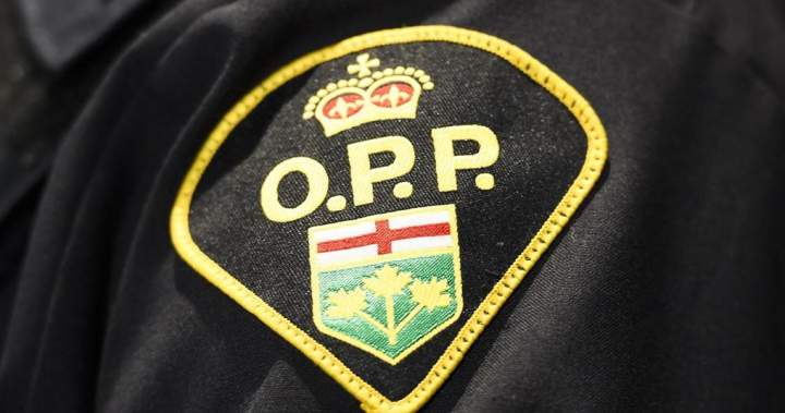 5 youths charged after brazen daytime robbery at Barrie jewelry store