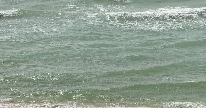 Quebec man dead after found off Florida beach in rip current - Montreal