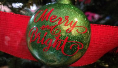 (Video) Spectacular local Christmas room display